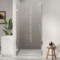 Modern bathroom with a shower enclosure, plant, and small table with bottles.