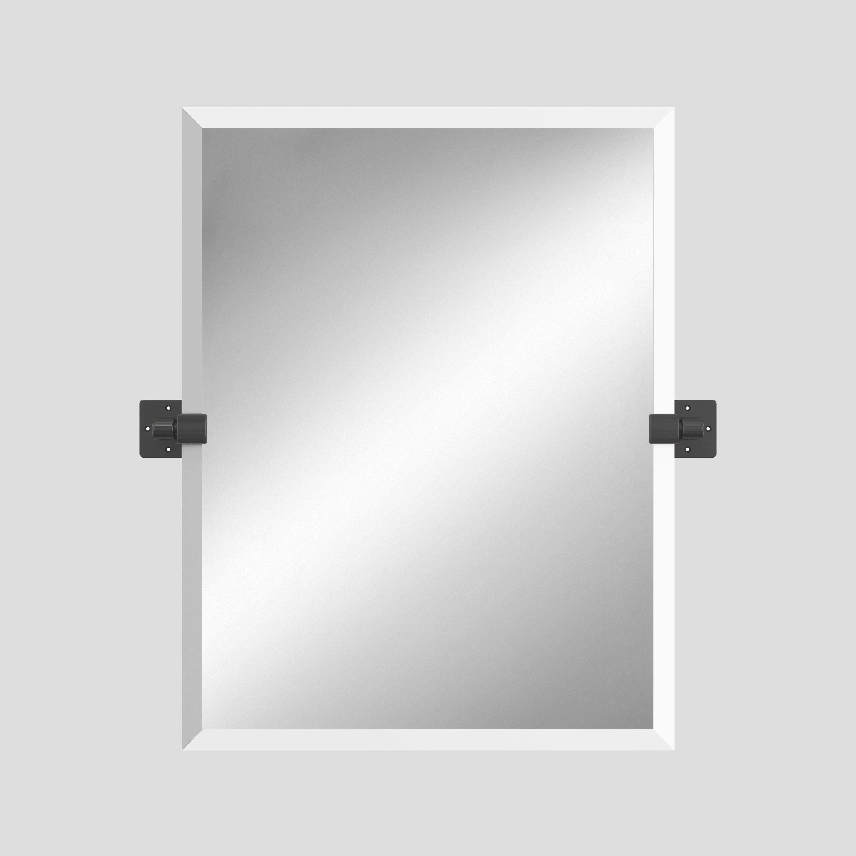 LEXI 24" x 30" Rectangular Mirror – Brushed Silver